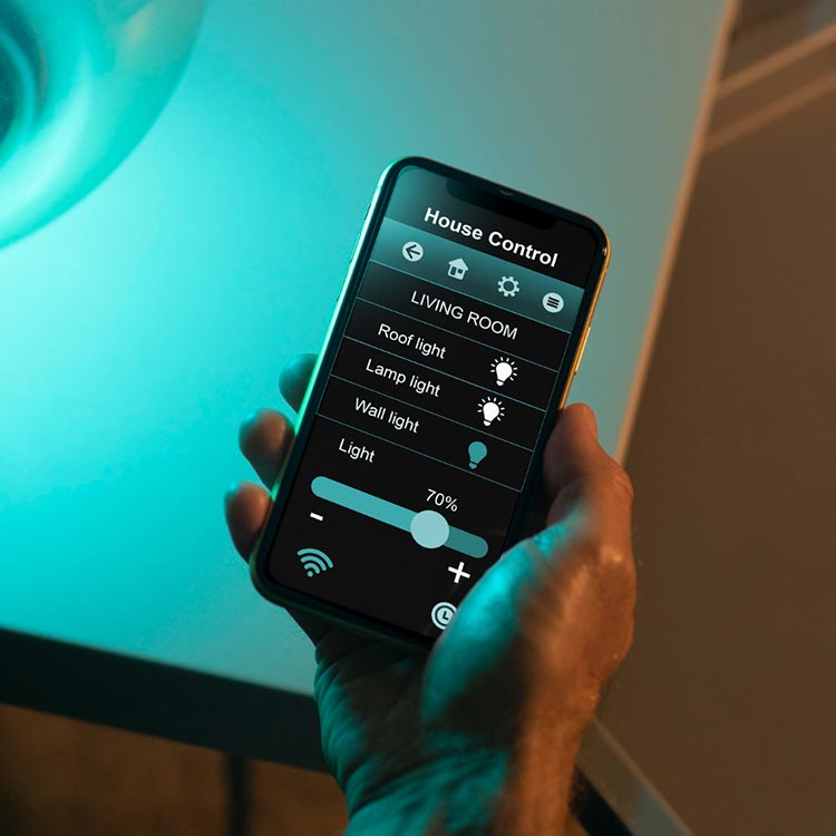 Smart Lighting and Switch Installation